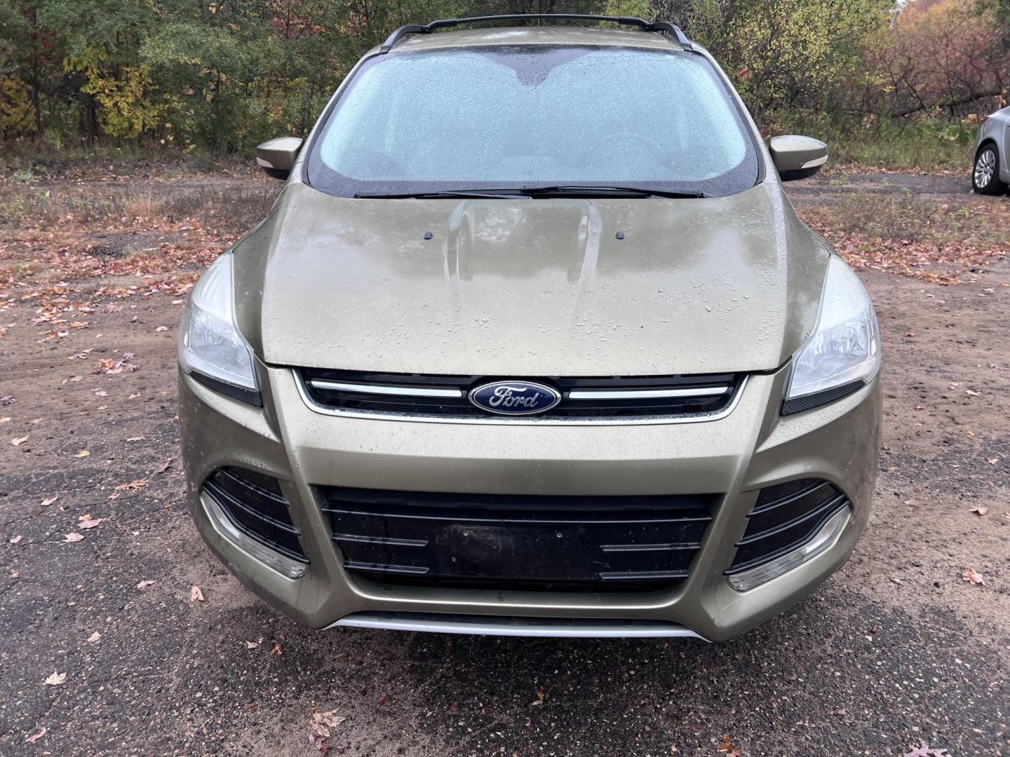 2013 Ford Escape SEL FWD (1FMCU0H90DU) with an 2.0L L4 DOHC 16V engine, 6-Speed Automatic transmission, located at 17255 hwy 65 NE, Ham Lake, MN, 55304, 0.000000, 0.000000- Photo#1