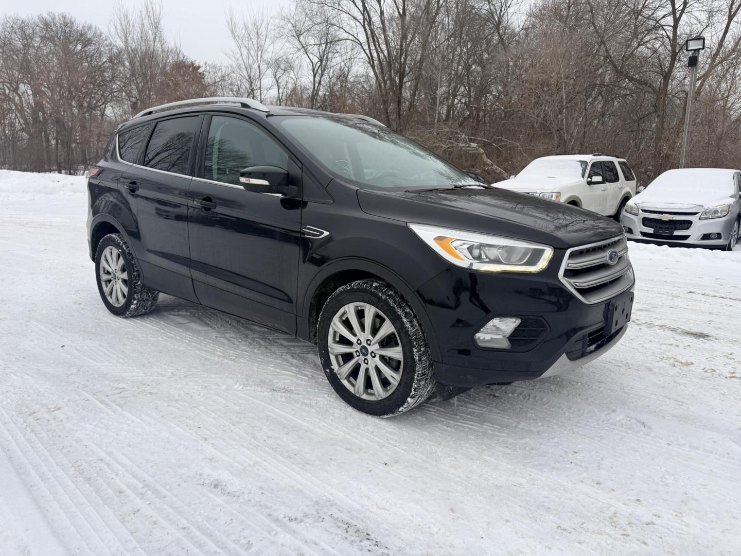 2017 Ford Escape Titanium 4WD (1FMCU9J9XHU) with an 2.0L L4 DOHC 16V engine, 6A transmission, located at 17255 hwy 65 NE, Ham Lake, MN, 55304, 0.000000, 0.000000 - Photo#6