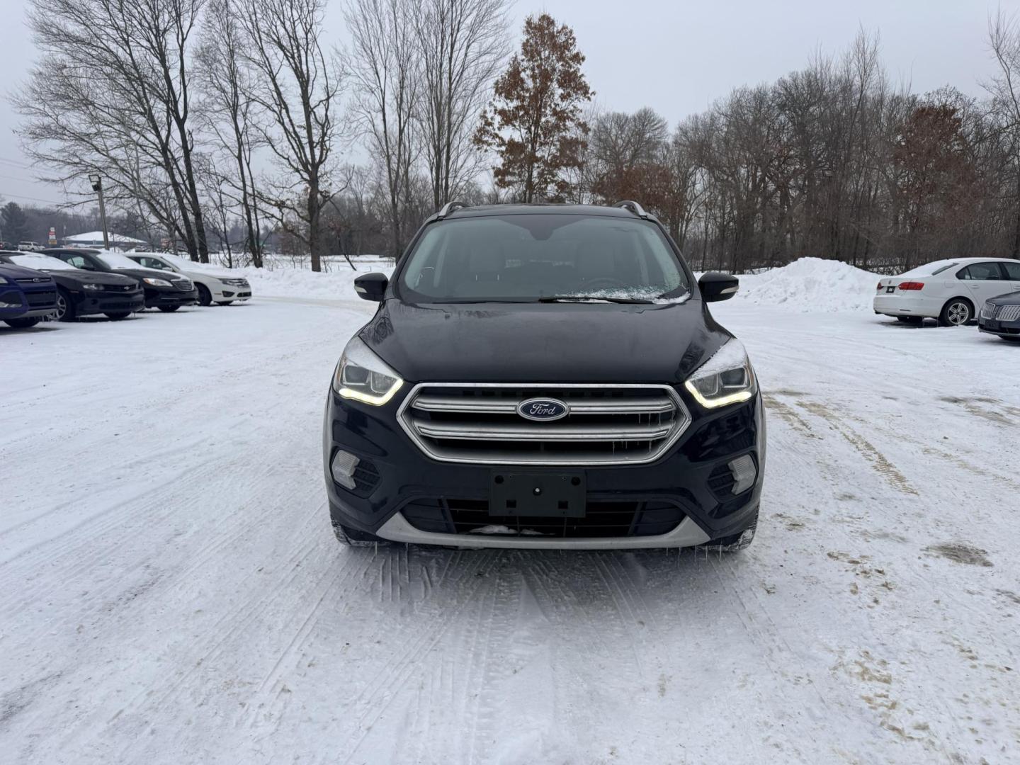 2017 Ford Escape Titanium 4WD (1FMCU9J9XHU) with an 2.0L L4 DOHC 16V engine, 6A transmission, located at 17255 hwy 65 NE, Ham Lake, MN, 55304, 0.000000, 0.000000 - Photo#7
